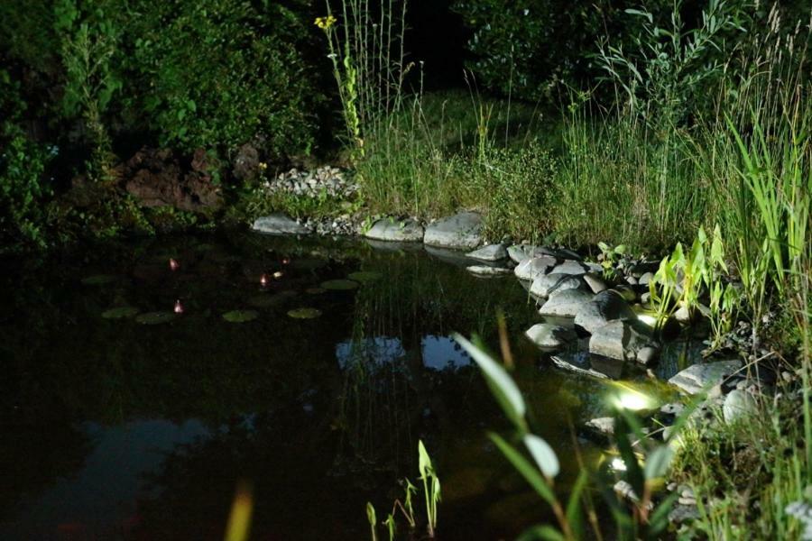 Ferienwohnung Welcome Mit Seeblick ชาลเคินเมียเฮิน ภายนอก รูปภาพ